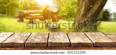 wooden retro floor and green grass and tree space