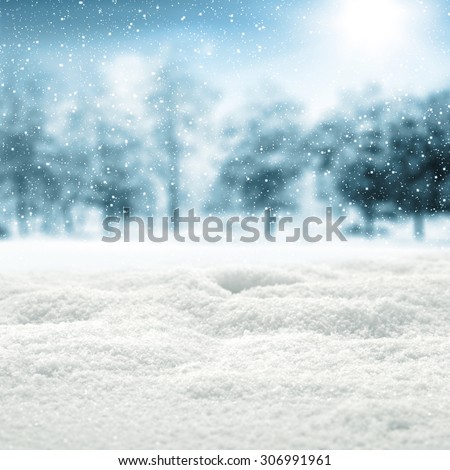 background of snow and trees
