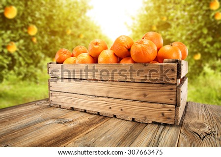 orange box on wooden table