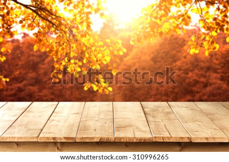 wooden pier and autumn
