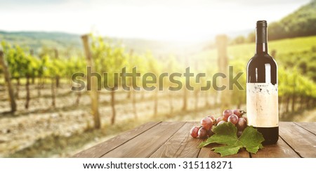 sunny landscape of vineyard with green leaves and red fruits and wine bottle