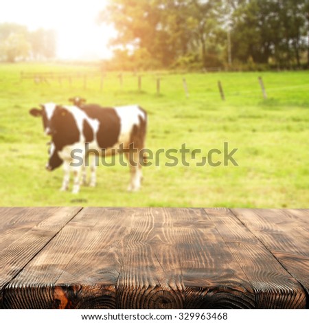 blurred background of cows on grass and free space on table