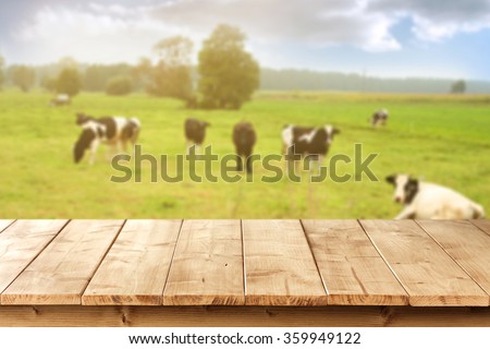 blurred background of cows on green grass and table