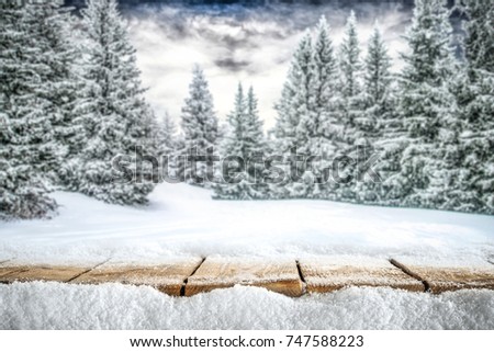 A table full of snowflakes with space for your product advertisement. Winter landscape of trees covered with snow and overcast with blue dramatic sky.