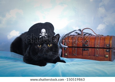 black cat - a pirate against the sky