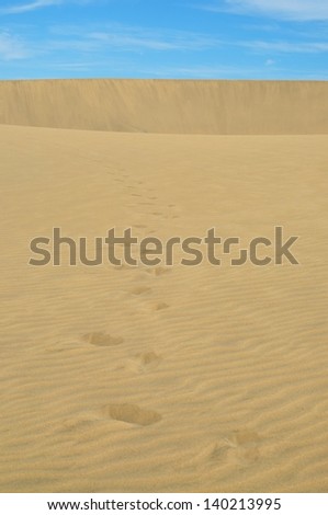 foot tracks in the sand dune