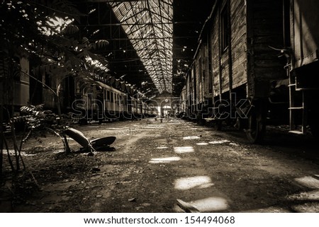 Some Trains At Abandoned Train Depot