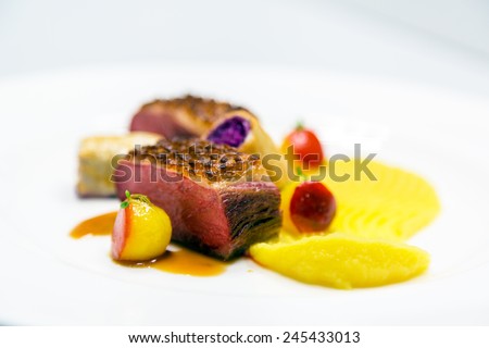 Delicious gourmet food close up