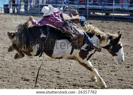 APACHE JUNCTION, AZ - FEBRUARY 28: A competitor rides a bucking horse in the bareback competition at the Lost Dutchman Days Rodeo on February 28, 2009 in Apache Junction, AZ.