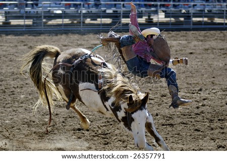 APACHE JUNCTION, AZ - FEBRUARY 28: A competitor is thrown from a bucking horse in the bareback competition at the Lost Dutchman Days Rodeo on February 28, 2009 in Apache Junction, AZ.