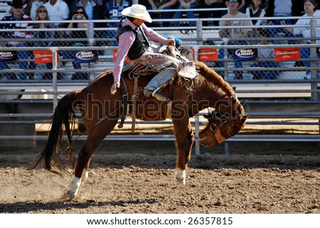 APACHE JUNCTION, AZ - FEBRUARY 28: A competitor rides a bucking horse in the saddle bronc competition at the Lost Dutchman Days Rodeo on February 28, 2009 in Apache Junction, AZ.