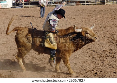 APACHE JUNCTION, AZ - FEBRUARY 28: A competitor rides a bucking bull in the bull riding competition at the Lost Dutchman Days Rodeo on February 28, 2009 in Apache Junction, AZ.