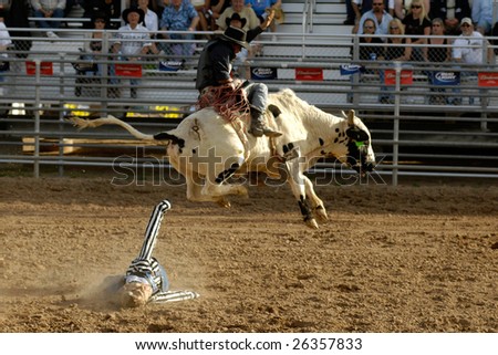 APACHE JUNCTION, AZ - FEBRUARY 28: A competitor rides a bucking bull in the bull riding competition at the Lost Dutchman Days Rodeo on February 28, 2009 in Apache Junction, AZ.