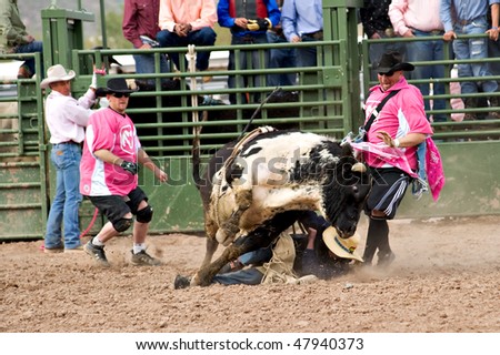 APACHE JUNCTION, AZ - FEBRUARY 26: A bucking bull jumps over a cowboy in the bull riding competition at the Lost Dutchman Days Rodeo on February 26, 2010 in Apache Junction, Arizona.