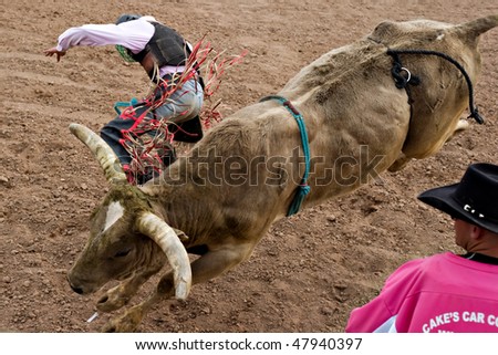 APACHE JUNCTION, AZ - FEBRUARY 26: A cowboy falls off  a bucking bull in the bull riding competition at the Lost Dutchman Days Rodeo on February 26, 2010 in Apache Junction, Arizona.