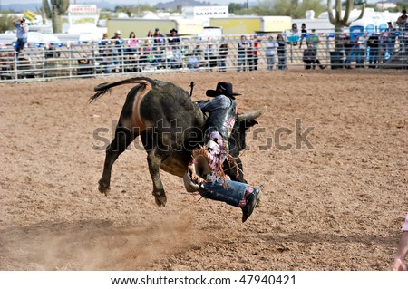 APACHE JUNCTION, AZ - FEBRUARY 27: A cowboy falls off a bucking bull in the bull riding competition at the Lost Dutchman Days Rodeo on February 27, 2010 in Apache Junction, Arizona.