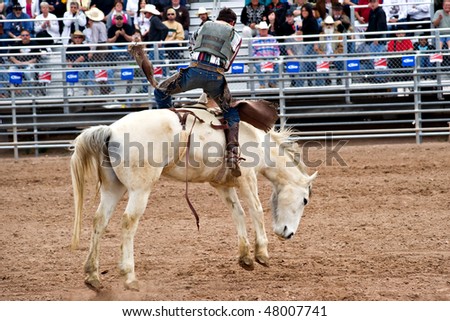 APACHE JUNCTION, AZ - FEBRUARY 27: A cowboy rides a bucking horse in the bareback competition at the Lost Dutchman Days Rodeo on February 27, 2010 in Apache Junction, Arizona.