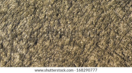 Old floor concrete texture background