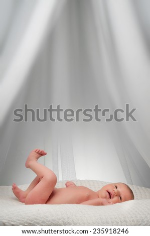 newborn baby in bed under canopy