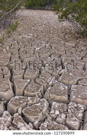 Dry River Bed