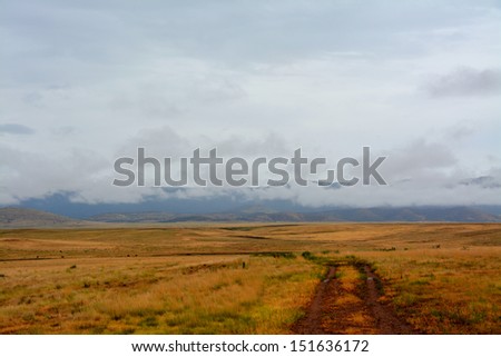 Wet road through Prescott Valley Golden Landscape