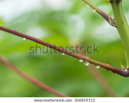 drop on tree select focus point