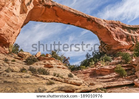 Natural Bridges National Monument in the United States
