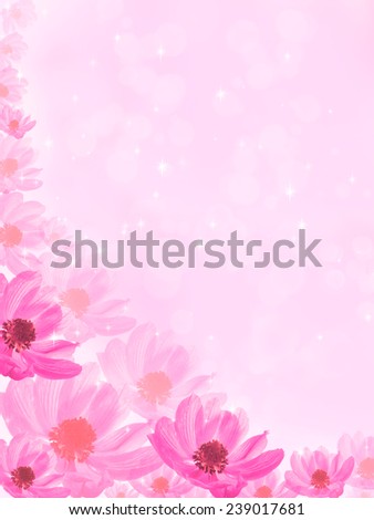 fantastic pink background with flower anemone
