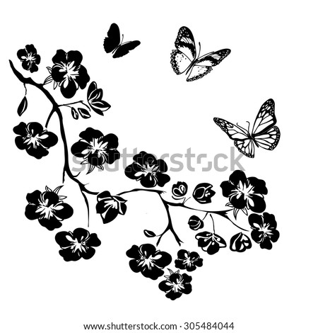twig sakura blossoms and butterflies Vector illustration Black Silhouette on white background twig sakura blossoms and butterflies Vector illustration Black Silhouette on white background