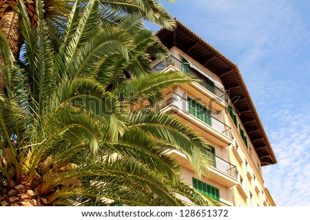 Majorca / Typical Majorca house with green shutters and a palm tree against blue sky