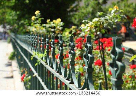 Iron garden fence / Garden of red and yellow roses separated from the street by the green iron fence. Selective focus