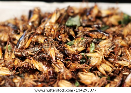Fried grasshoppers, Bangkok, Thailand