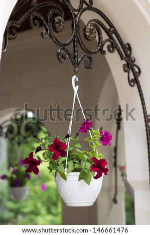 Beautiful flower pot framing house entrance