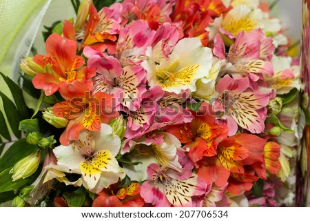 Wedding bridal big bouquet from summer flowers