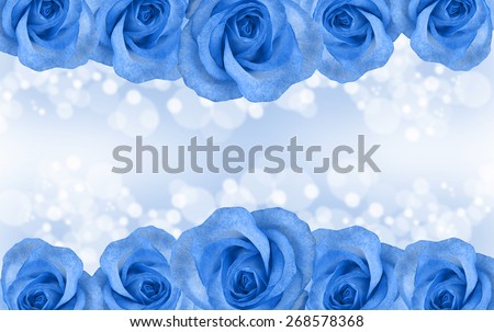 Border of roses isolated on blue background