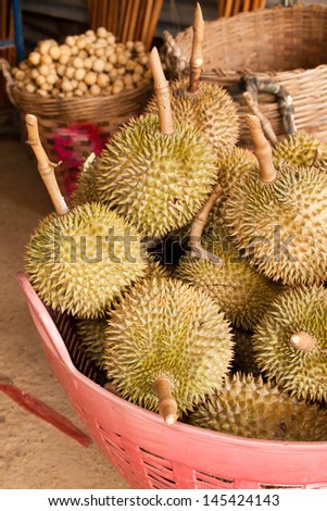 Durian, king of fruit, famous fruit in Thailand