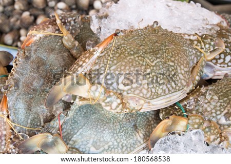 Fresh raw flower crab or blue crab in seafood market
