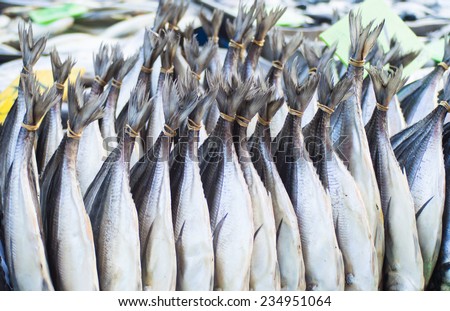 Closeup of fish tail, Mackerel, tuna