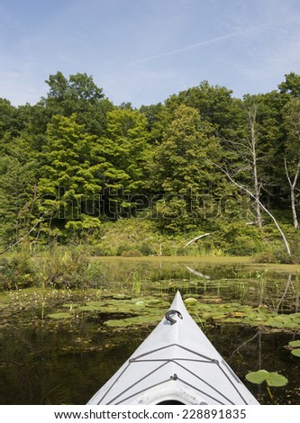 Selective focus on the kayak in the foreground in wetland area of a northern lake