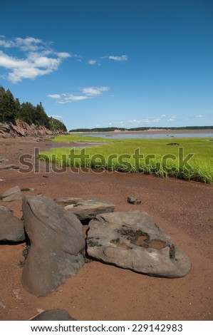 Selective focus on the foreground area on the Bay of Fundy shoreline locate at Mary\'s Point in New Brunswick close to Alma