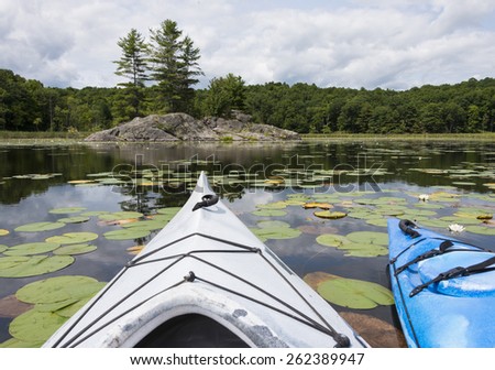 Two kayaks in a conservation area with selective focus on the foreground lily pads