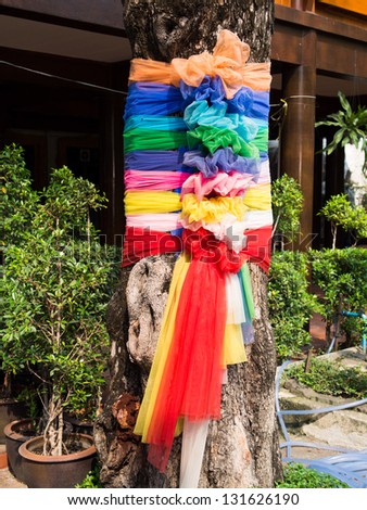 Multi-colored cloth wrapped around holy tree