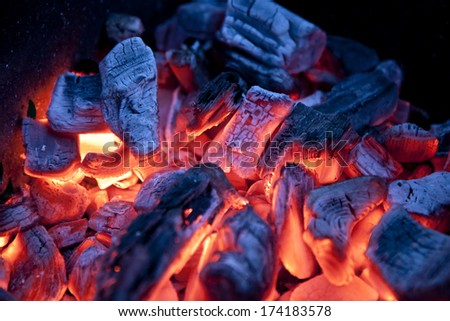 Burning campfire embers (hot coal)