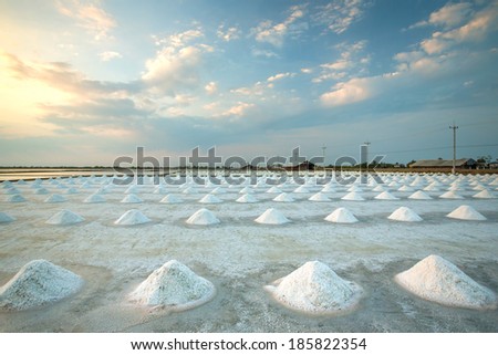 Piles of salt on the surface of the salt lake, Thailand