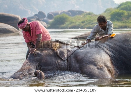 HAMPI, INDIA - FEBRUARY 5, 2013: Unidentified men bath Lakshmi, the temple elephant, in the river on February 5, 2013 in Hampi, Karnataka, India. Hampi is a UNESCO world heritage site.