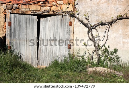 Old facade with door and vine