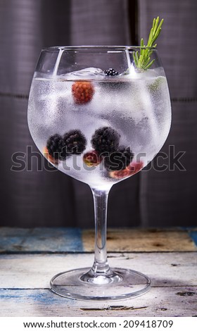 gin tonic with blackberry