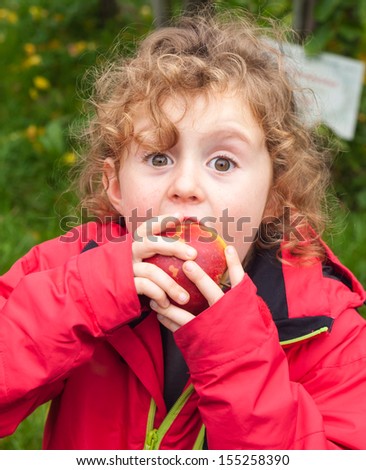 Small girl biting into a freshly picked ripe autumn apple in an orchard