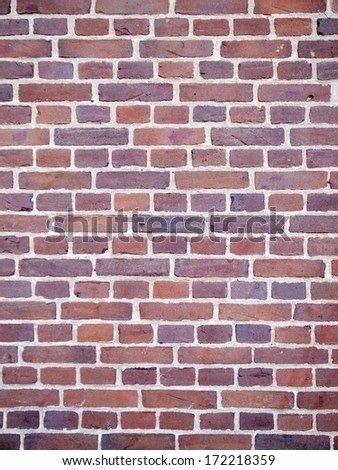 detail of brick wall with red-purple bricks and white mortar