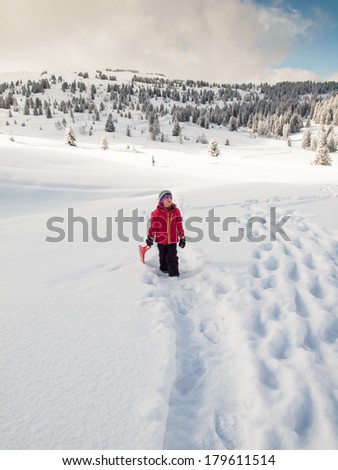 small girl walking in deep snow with sledge in hand and wooded winter  mountain landscape behind
